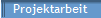 Projektarbeit