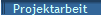 Projektarbeit