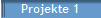Projekte 1