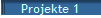 Projekte 1