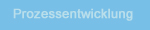button_prozessentwicklung_hell